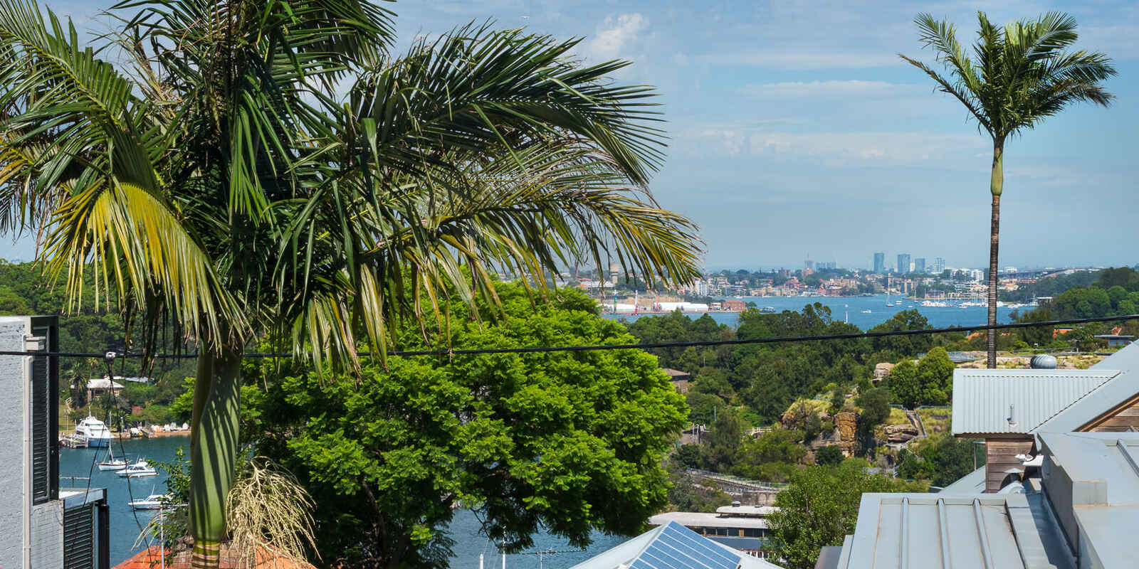 8 Webb Street McMahons Point