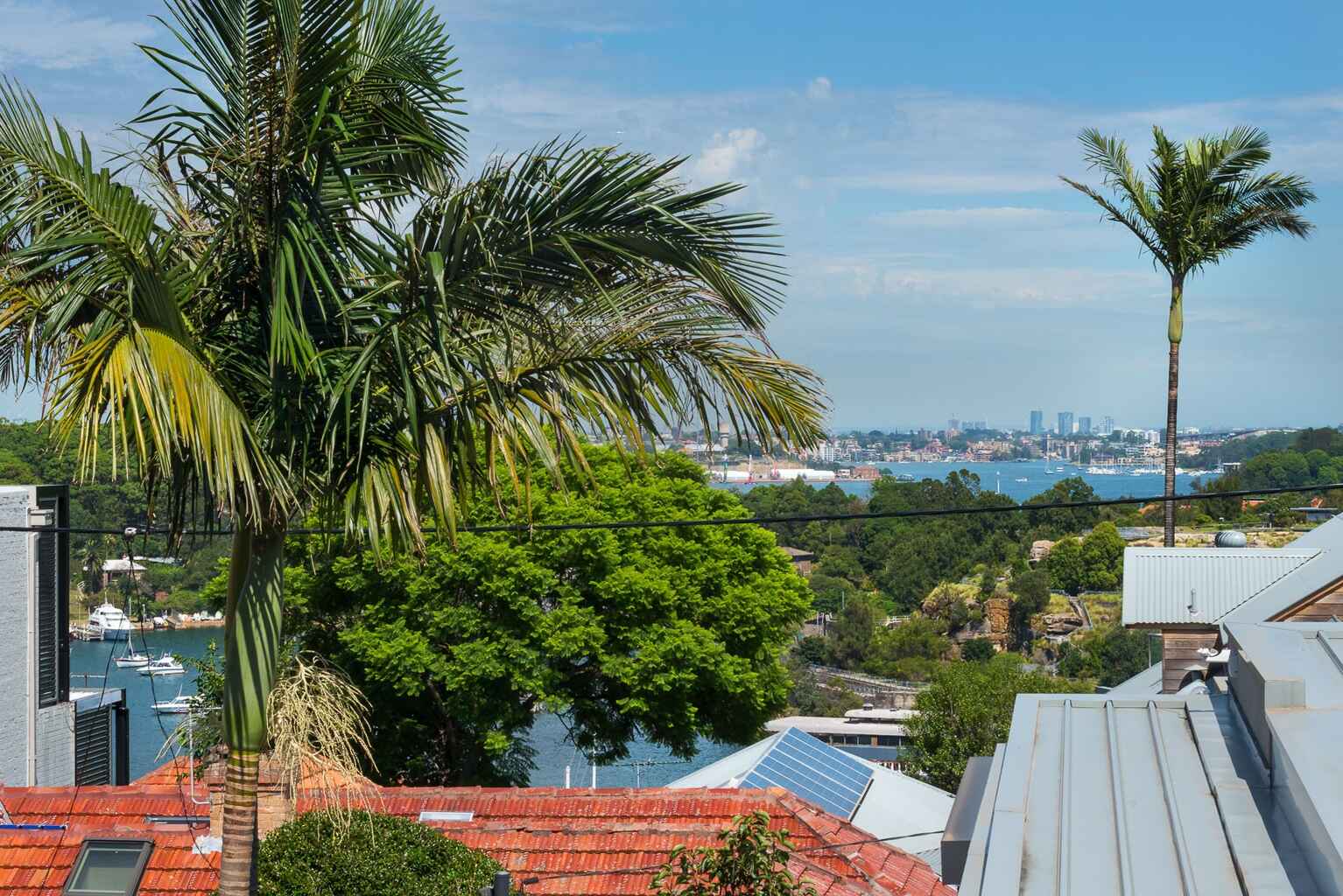 8 Webb Street McMahons Point