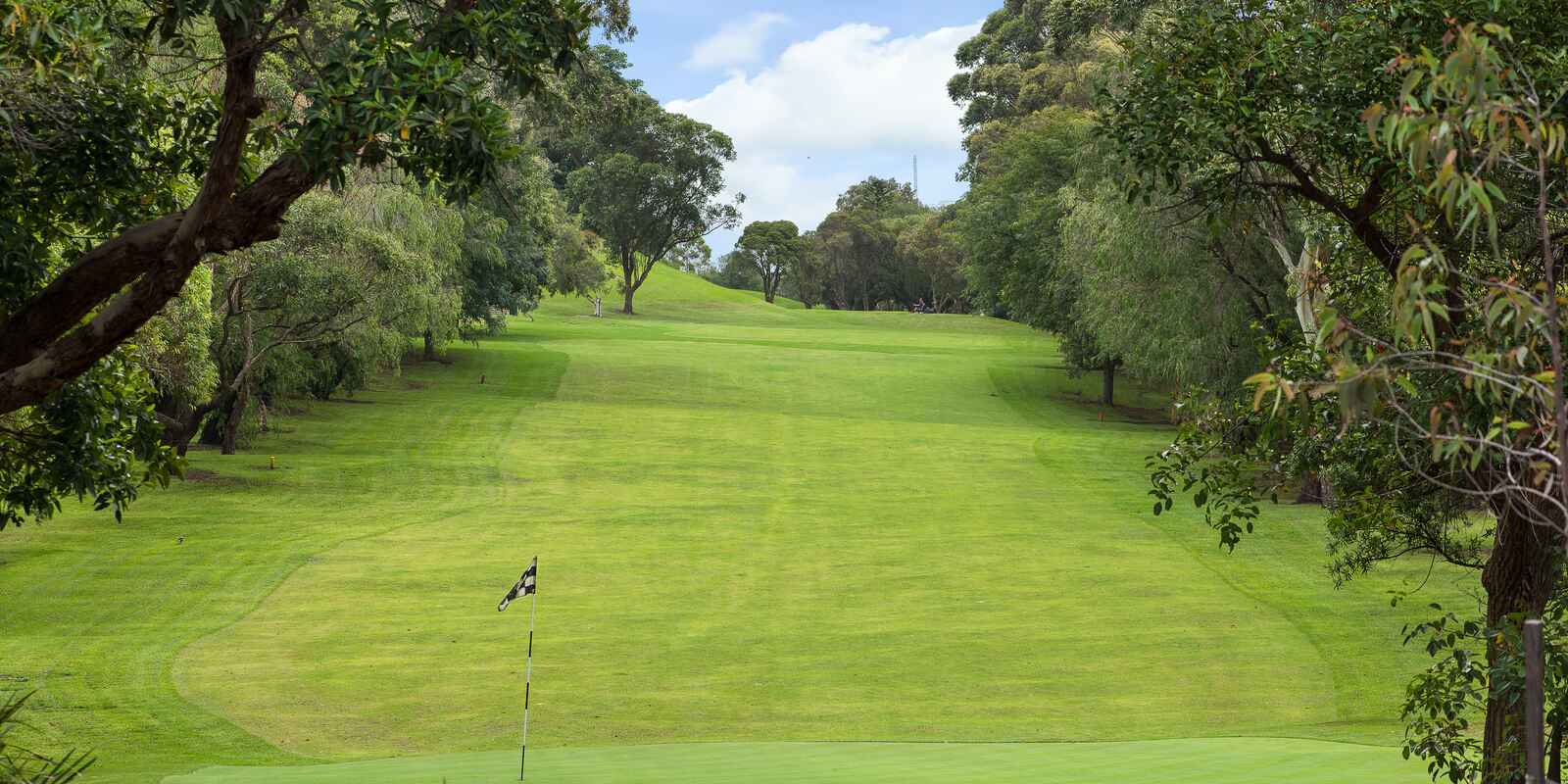 2/312A West Street Cammeray 2/312A West Street Cammeray