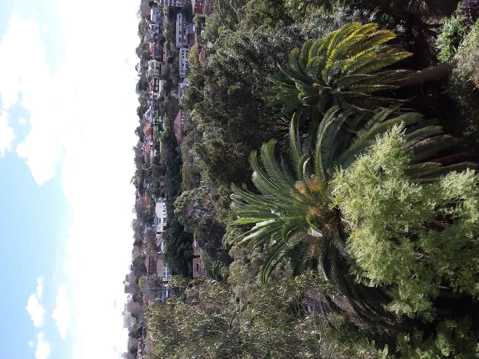 6/18 Upper Avenue Road Mosman