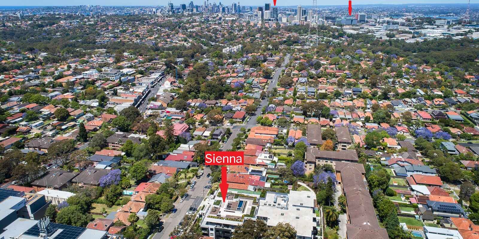 102A/34 Penshurst Street Willoughby