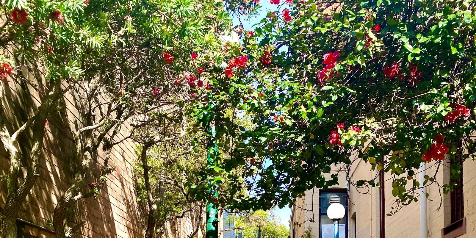 Shop 3/870 Military Road Mosman Shop 3/870 Military Road Mosman