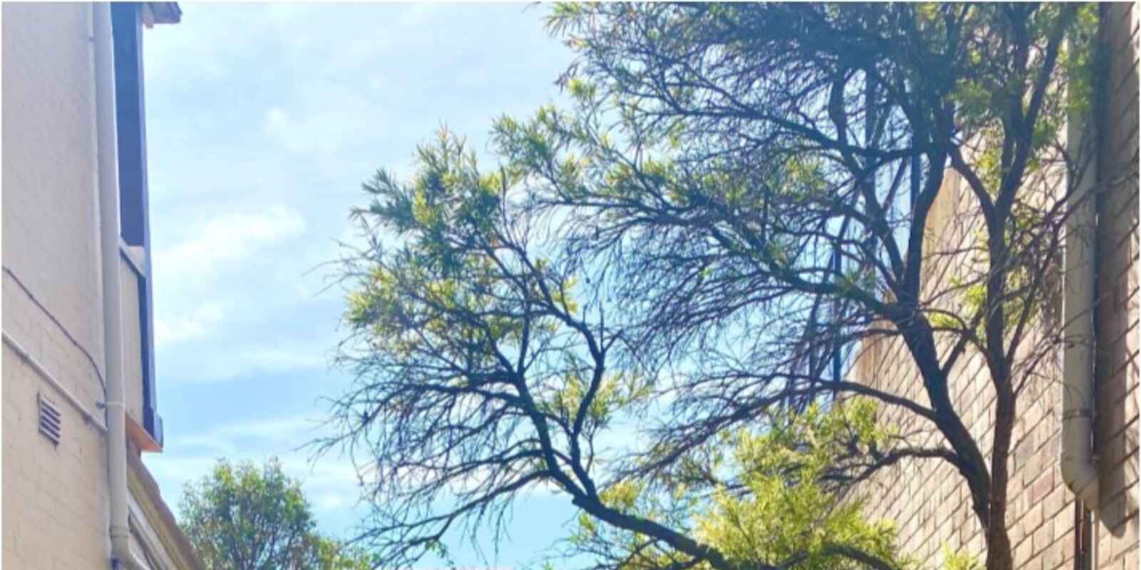 Shop 3/870 Military Road Mosman Shop 3/870 Military Road Mosman