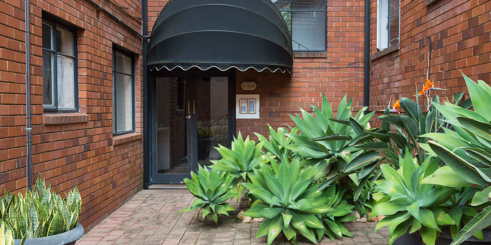 15/341 Alfred Street Neutral Bay