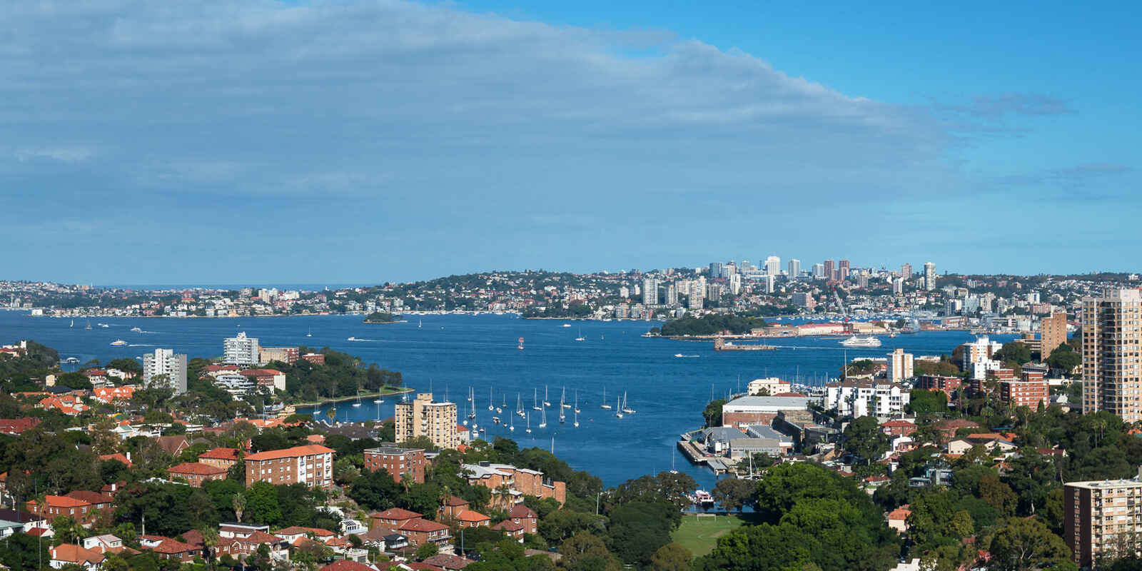 31/95A Ridge Street North Sydney