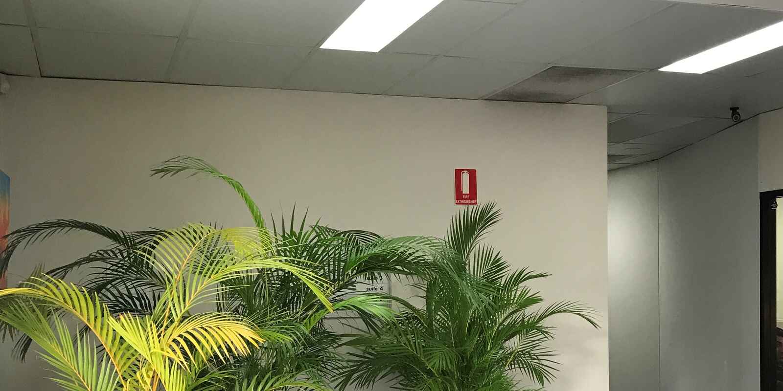 2 & 2a/81 - 85 Great North Road Five Dock