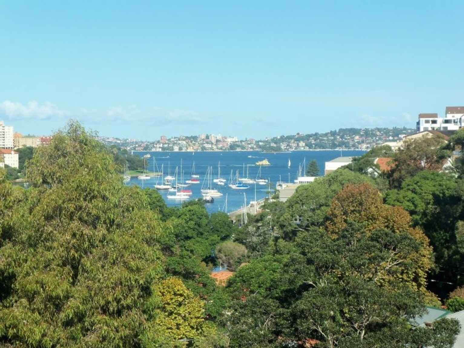 504/22 Doris Street North Sydney