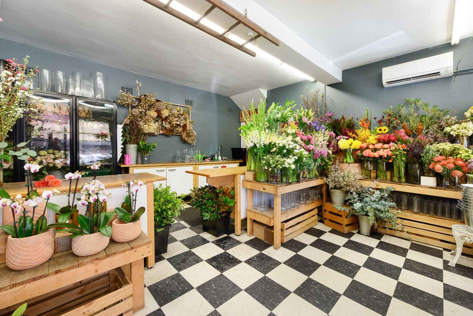 Shop 3/2B Clarke Street, Crows Nest