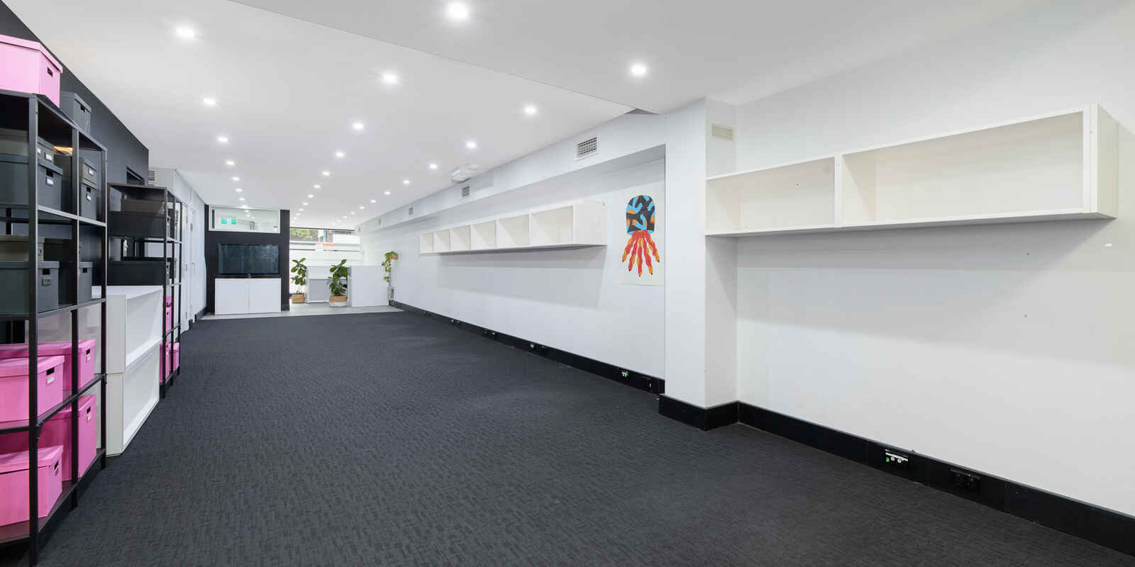 GF, 77 Alexander Street Crows Nest