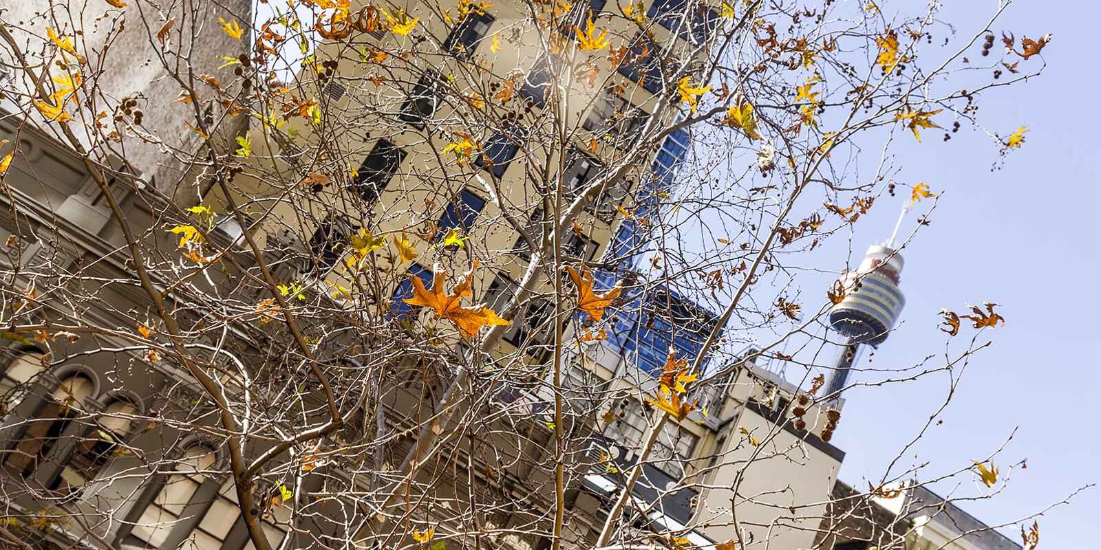 35/365 Kent Street  Sydney