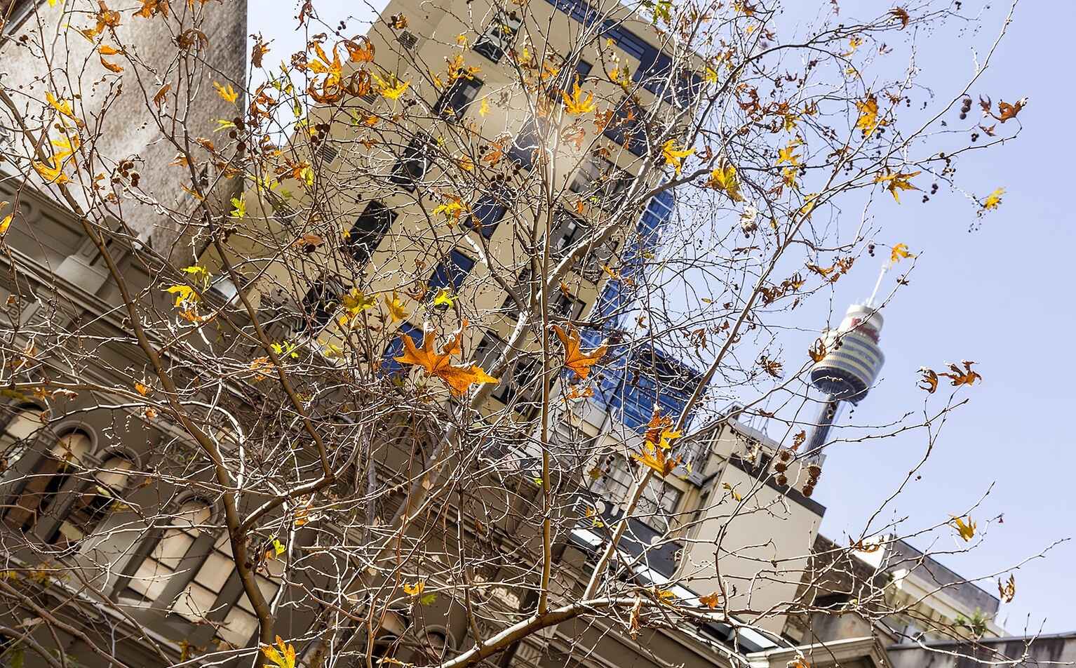 35/365 Kent Street  Sydney