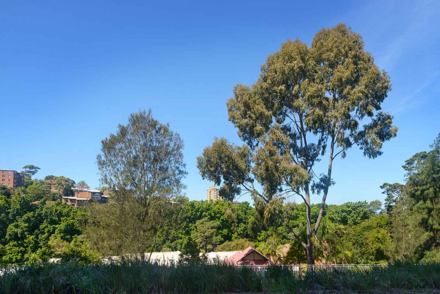 101/22 Doris Street North Sydney 101/22 Doris Street North Sydney