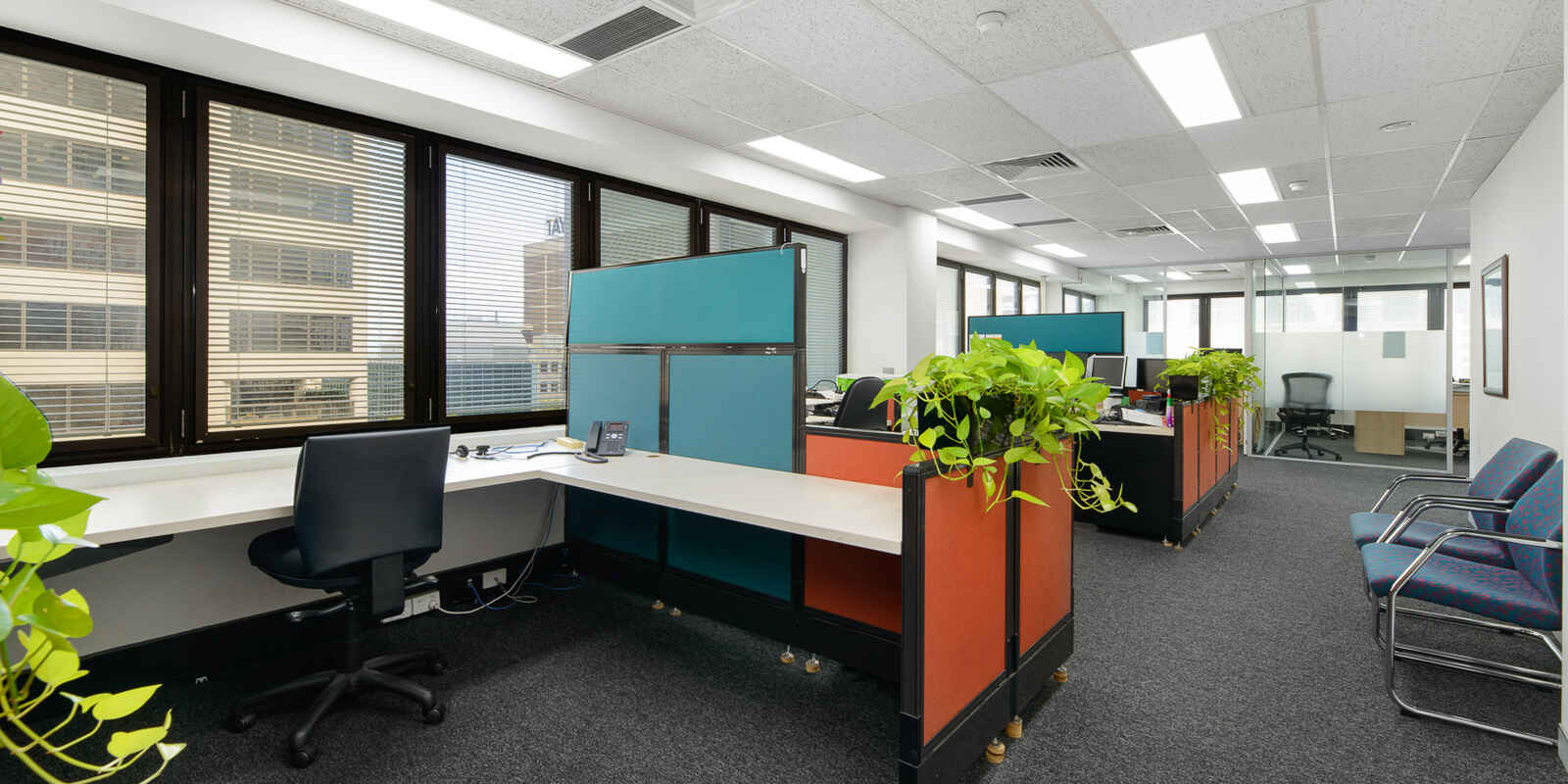 Suite 501/66 Berry Street North Sydney Suite 501/66 Berry Street North Sydney