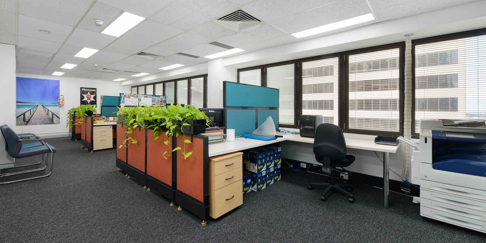 Suite 501/66 Berry Street North Sydney Suite 501/66 Berry Street North Sydney