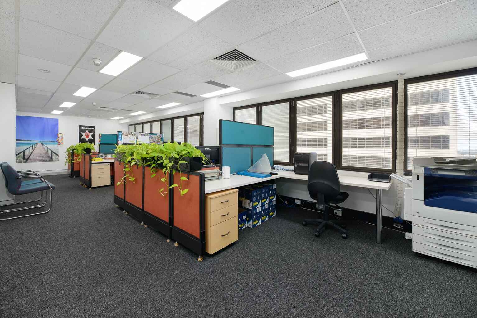 Suite 501/66 Berry Street North Sydney