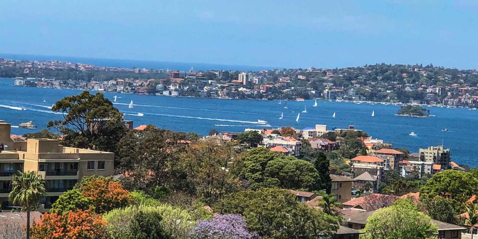 1003/1 Watson Street Neutral Bay