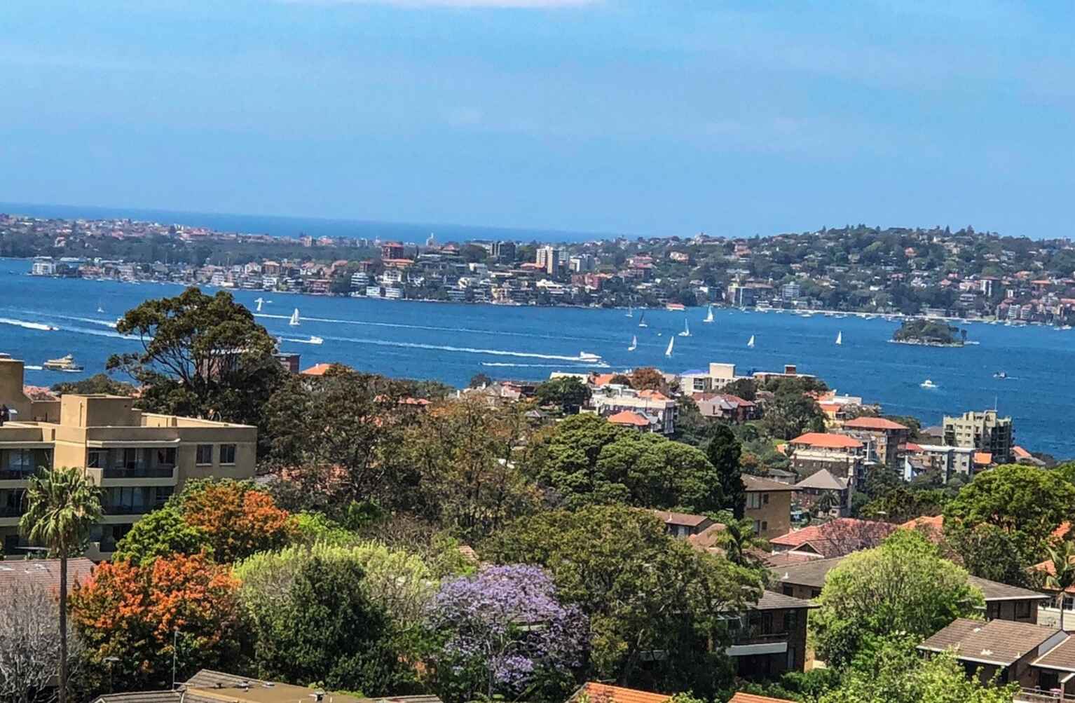 1003/1 Watson Street Neutral Bay