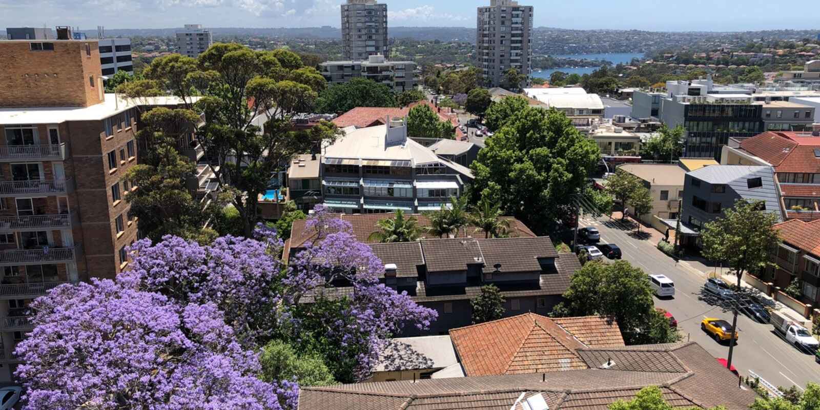 1003/1 Watson Street Neutral Bay