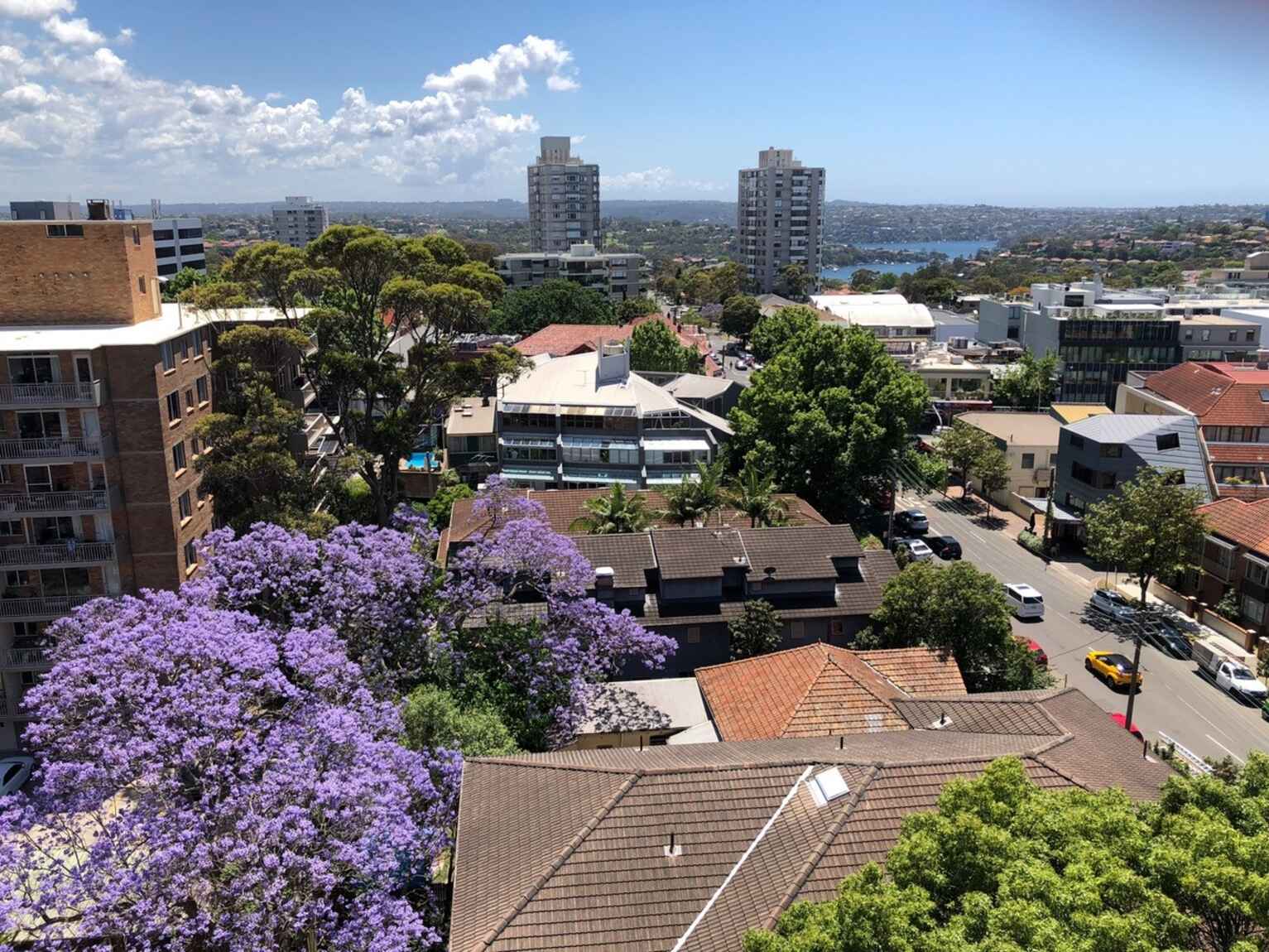 1003/1 Watson Street Neutral Bay
