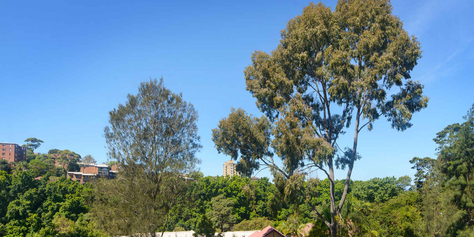 101/22 Doris Street North Sydney 101/22 Doris Street North Sydney