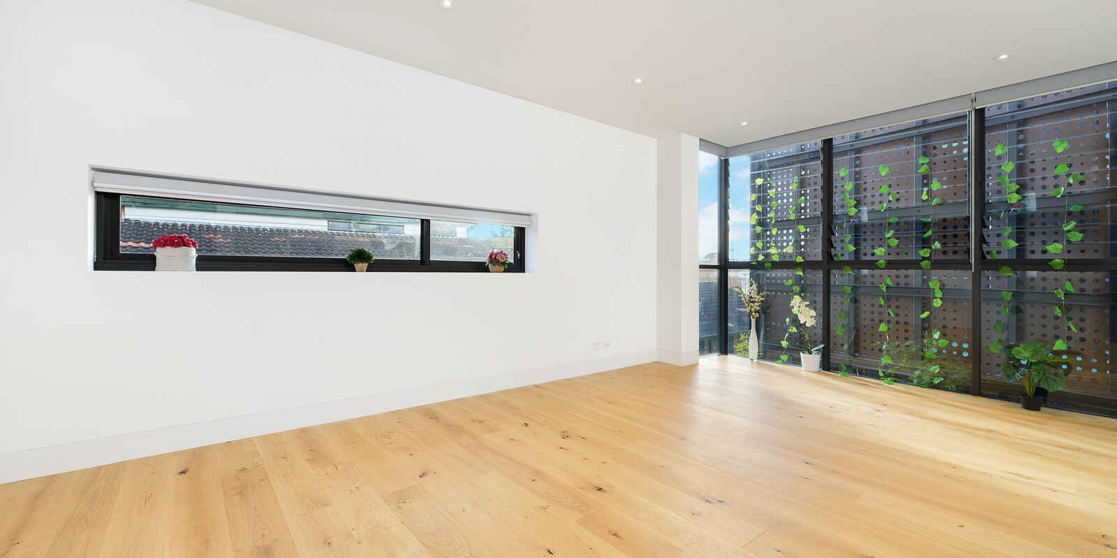 17/211 Military Road  Cremorne