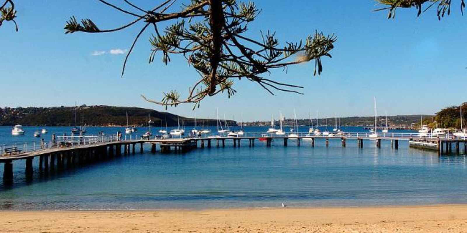 11/41 The Esplanade Mosman