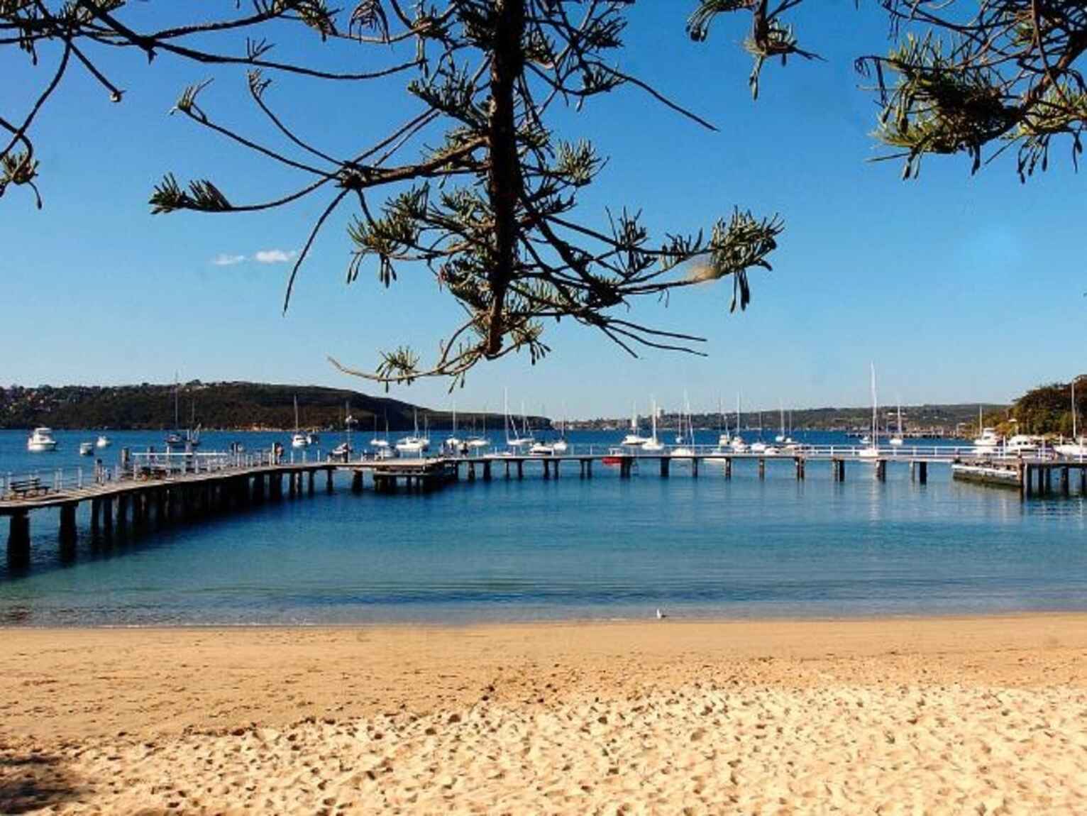 11/41 The Esplanade Mosman 11/41 The Esplanade Mosman