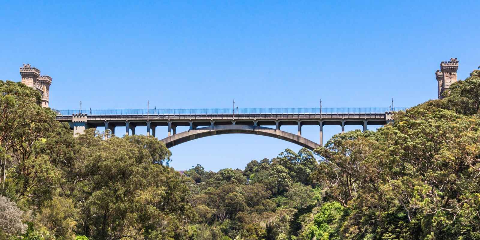 1/449 Miller Street Cammeray 1/449 Miller Street Cammeray