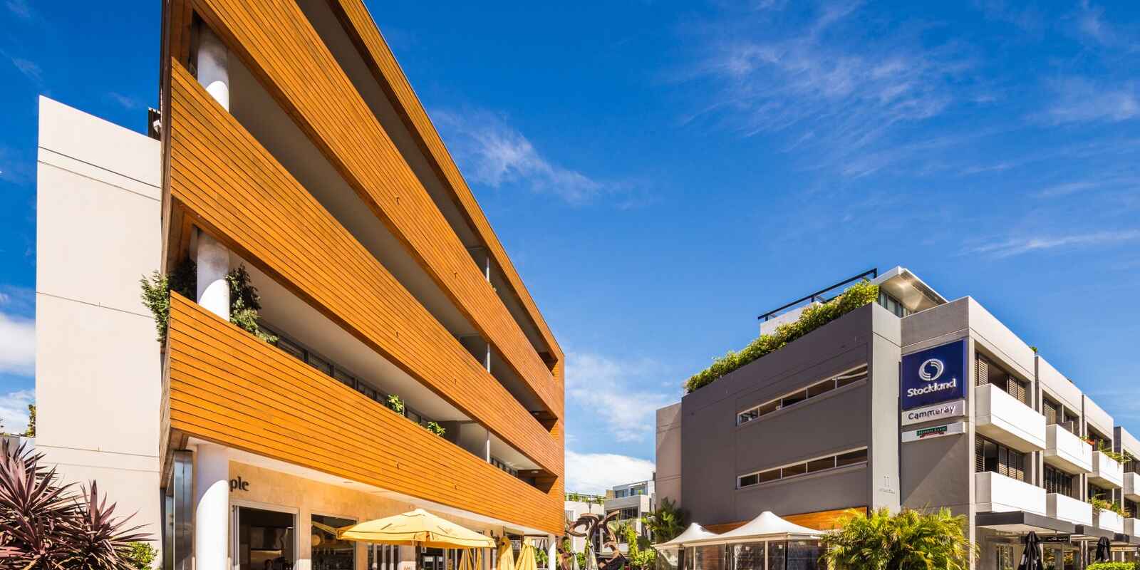 1/449 Miller Street Cammeray 1/449 Miller Street Cammeray