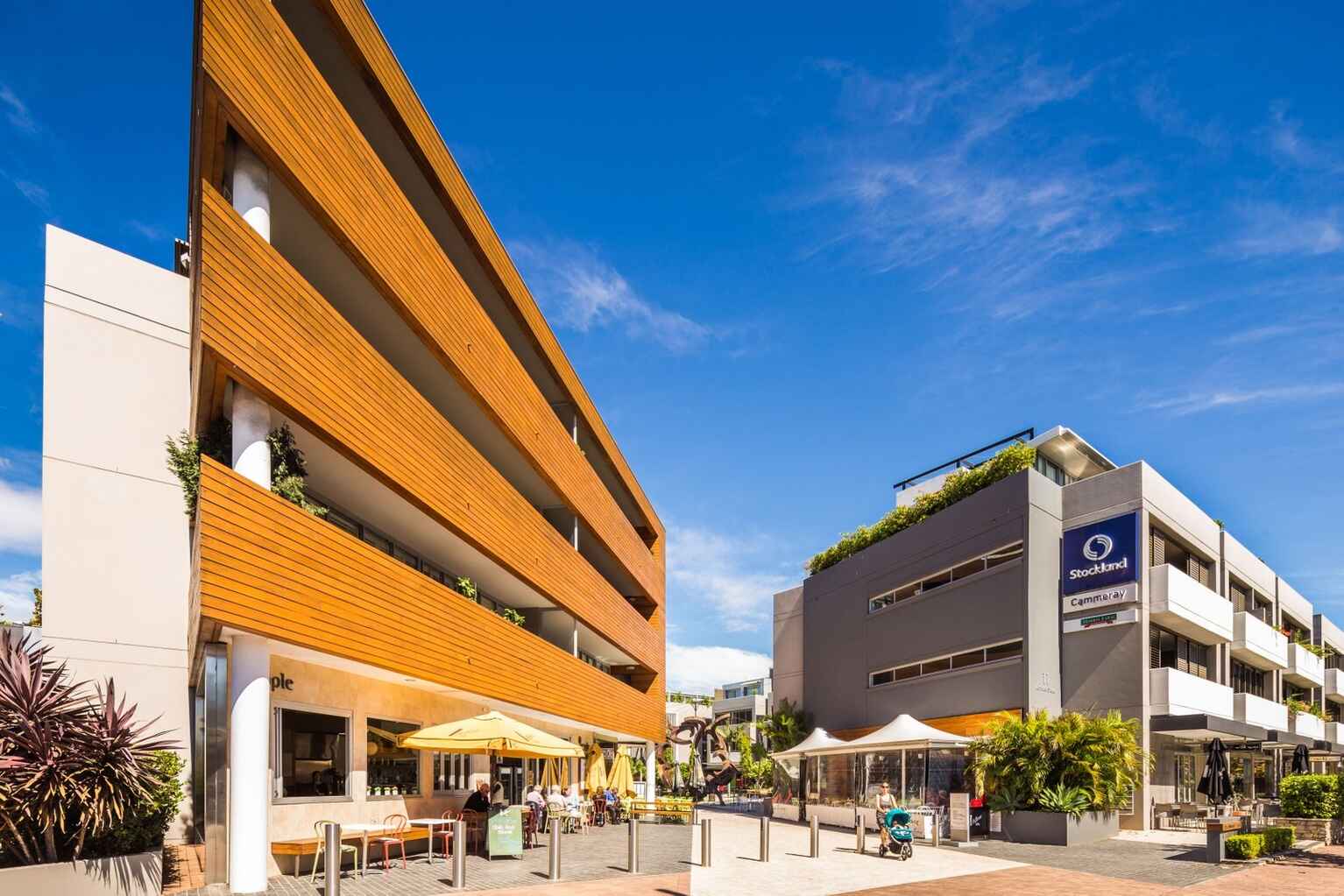 1/449 Miller Street Cammeray