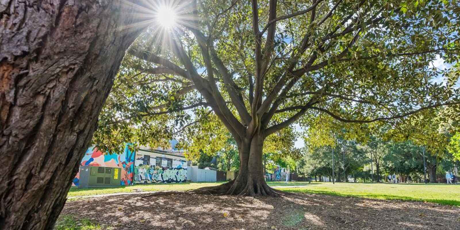 50 Lennox Street Newtown