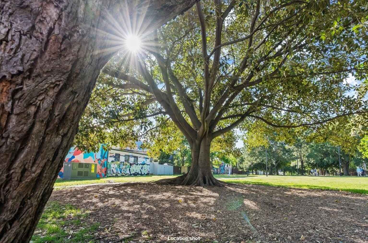 50 Lennox Street Newtown