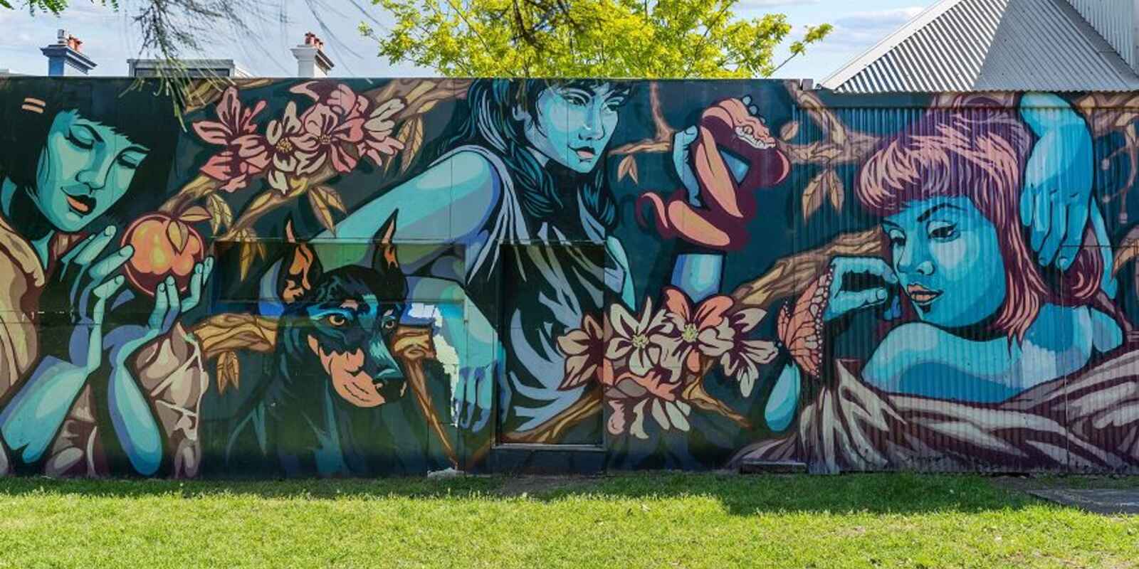 50 Lennox Street Newtown