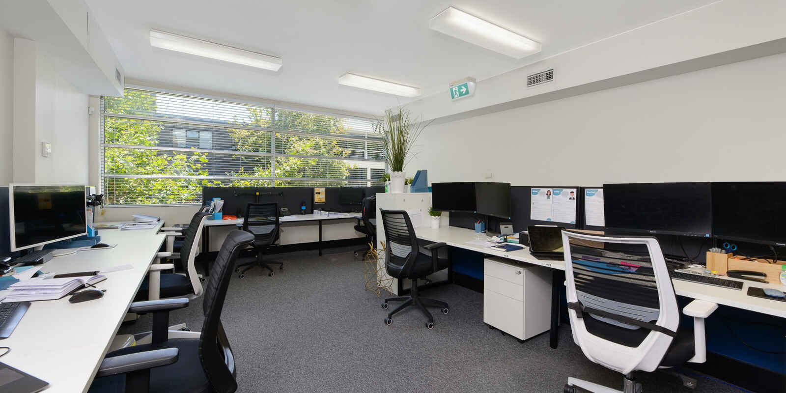 75 Alexander Street Crows Nest
