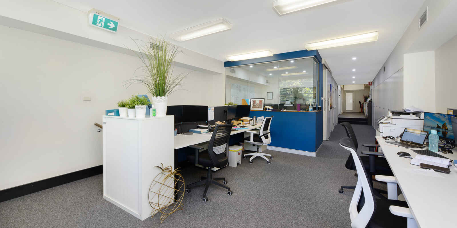 75 Alexander Street Crows Nest