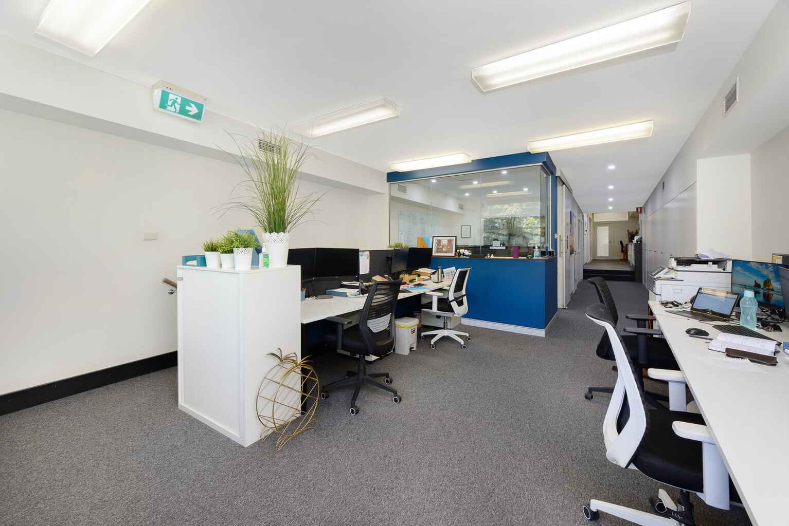 75 Alexander Street Crows Nest