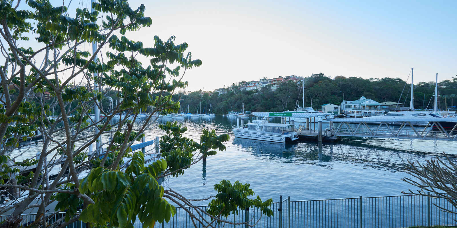 2/1E Avenue Road Mosman