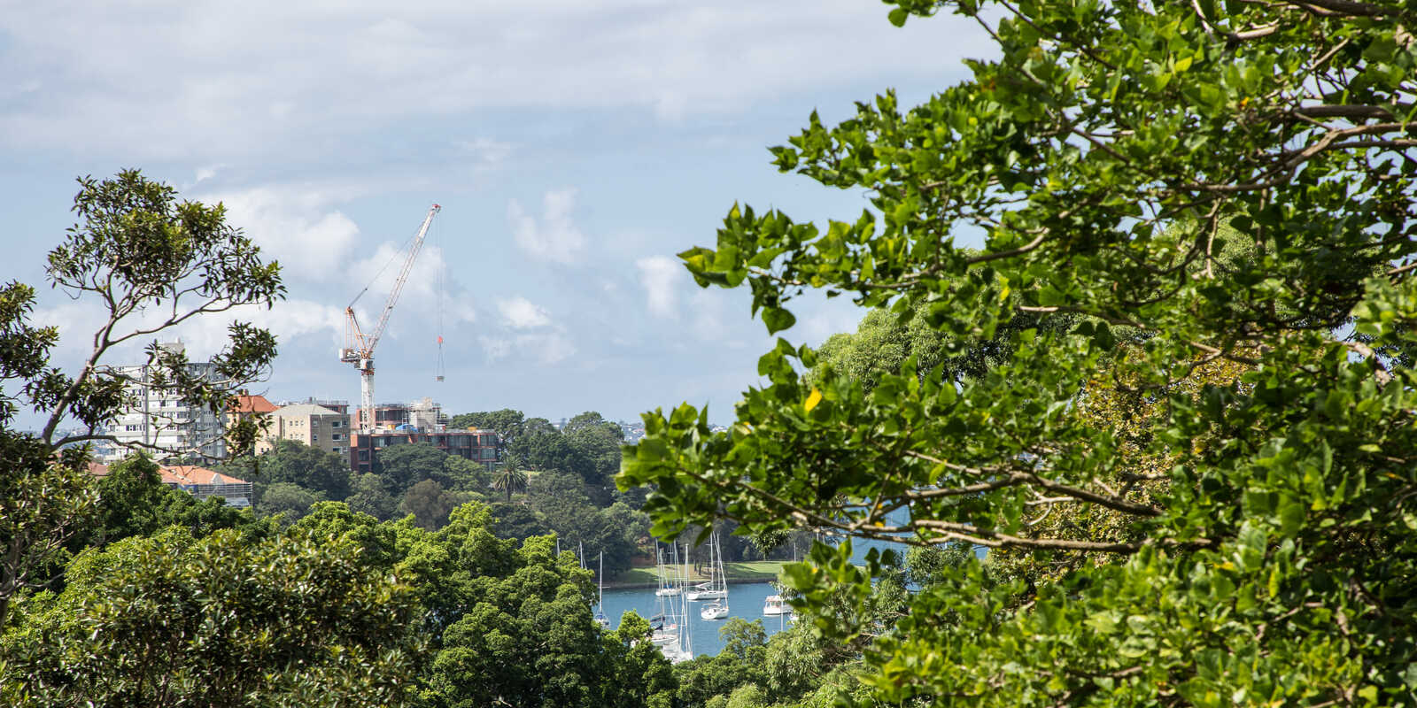 417/22 Doris Street North Sydney 417/22 Doris Street North Sydney