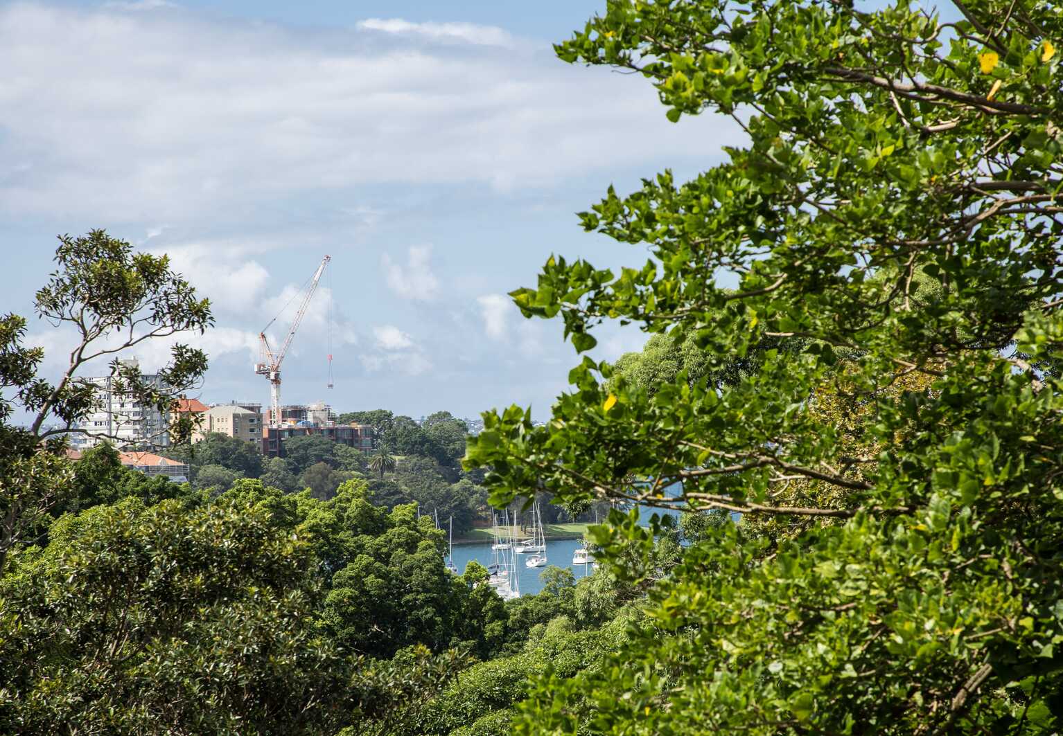 417/22 Doris Street North Sydney 417/22 Doris Street North Sydney