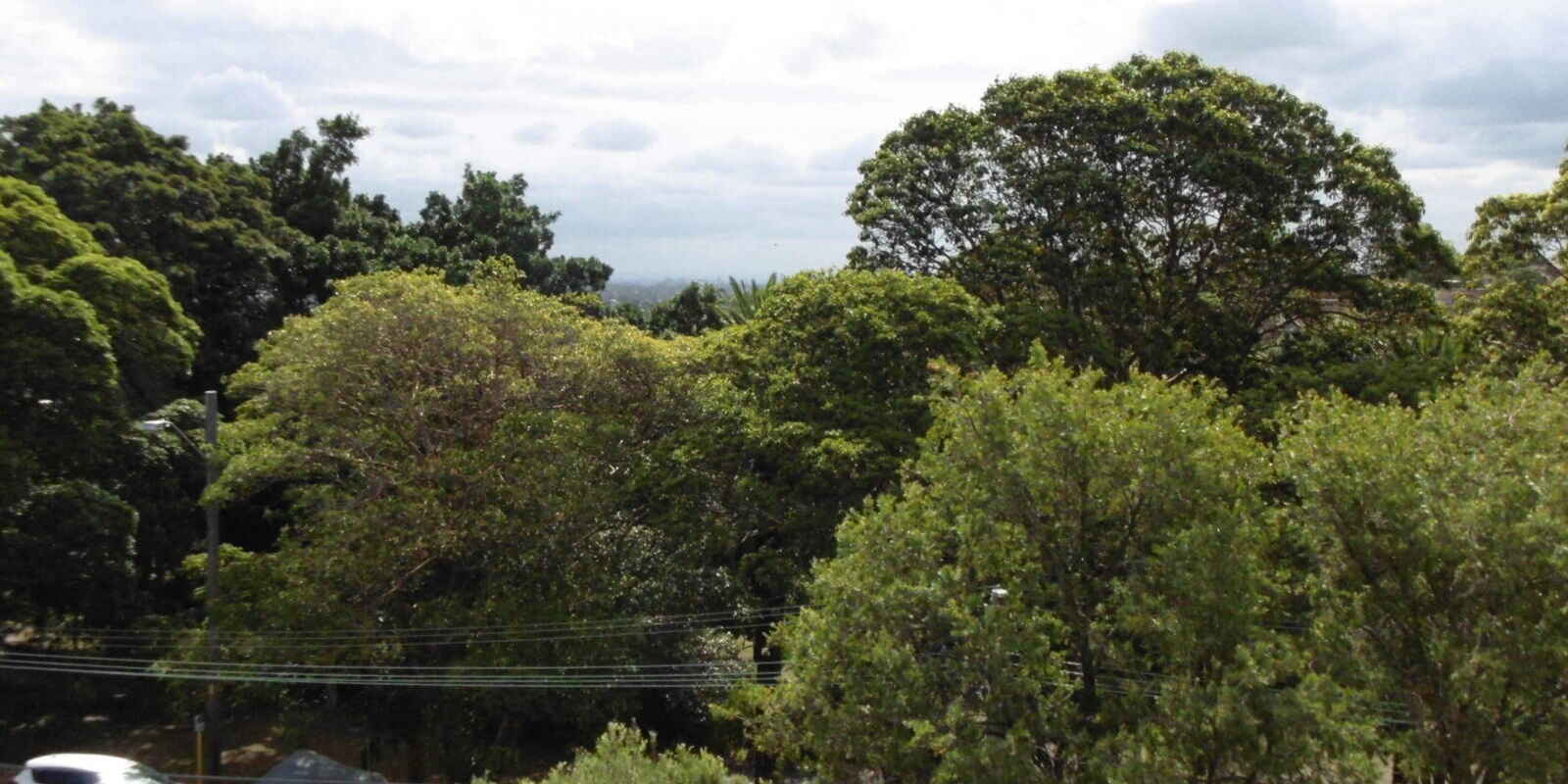 6/53 King Street Waverton 6/53 King Street Waverton