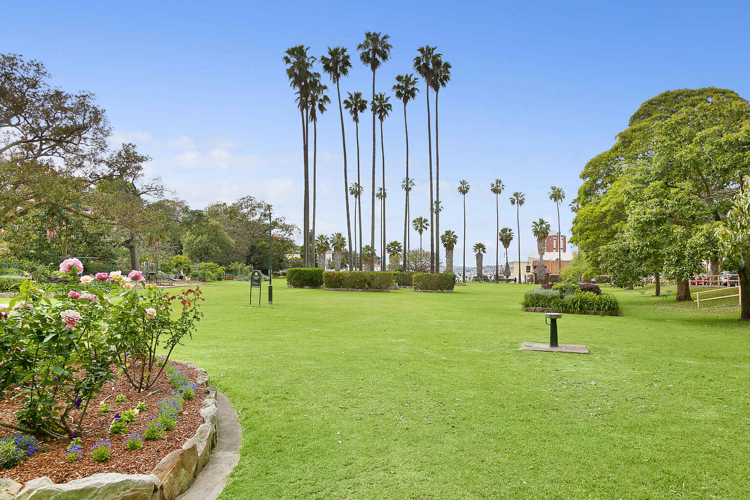 15/59 Whaling Road North Sydney