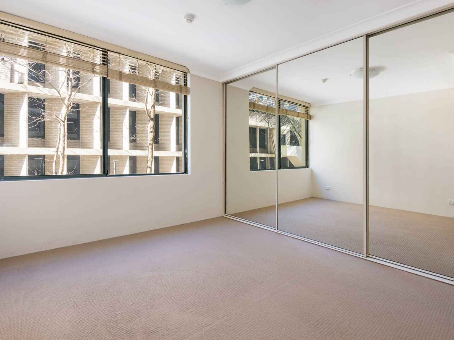 G01/37-39 McLaren Street North Sydney