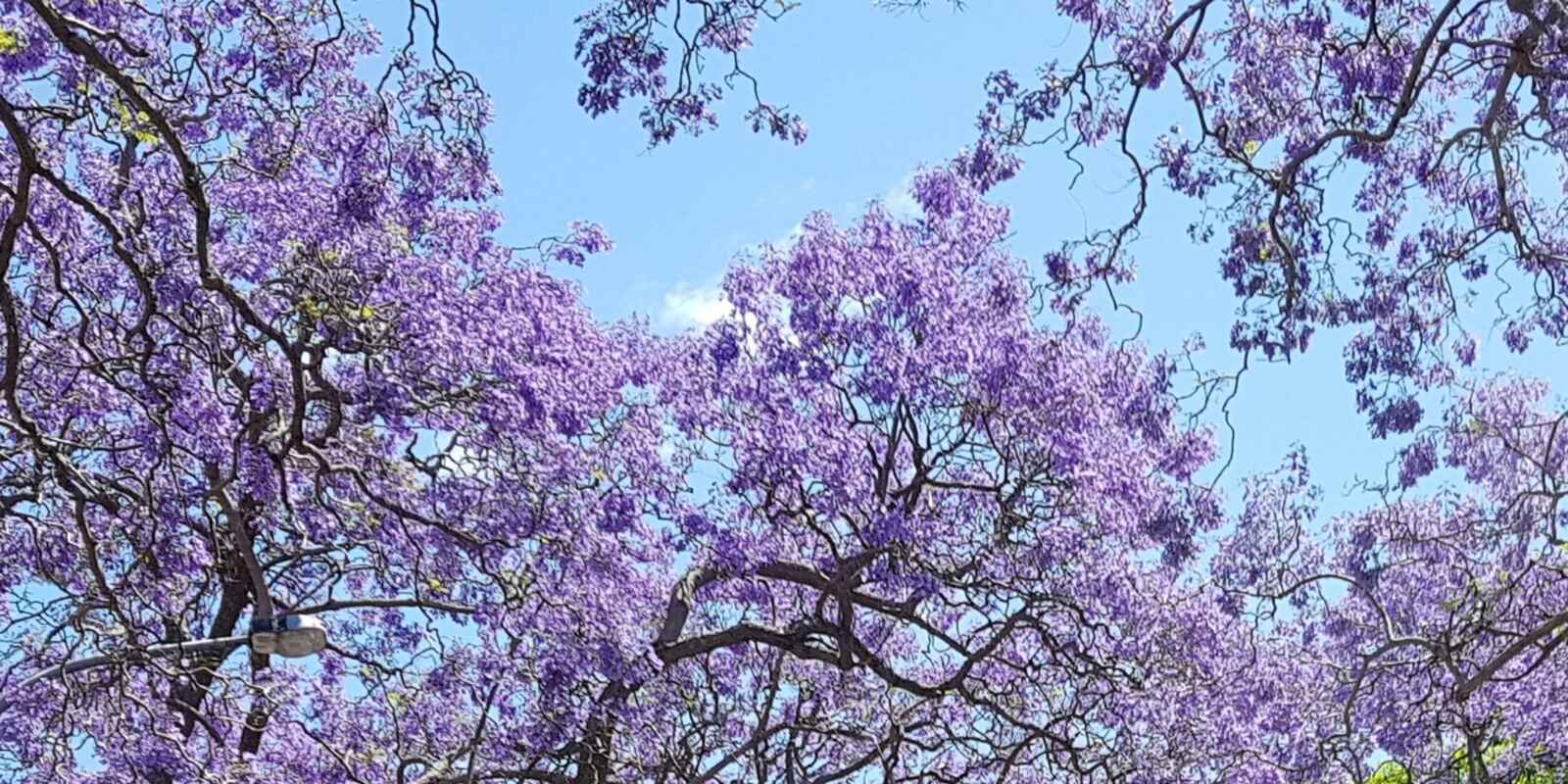 304/47 Carabella Street Kirribilli