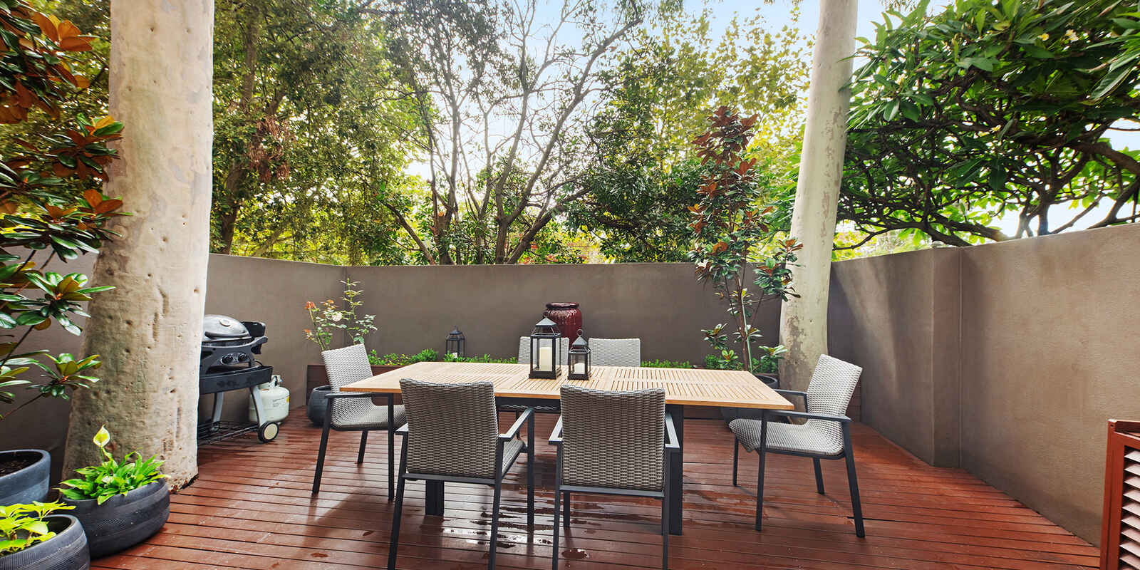1/370 Miller Street Cammeray