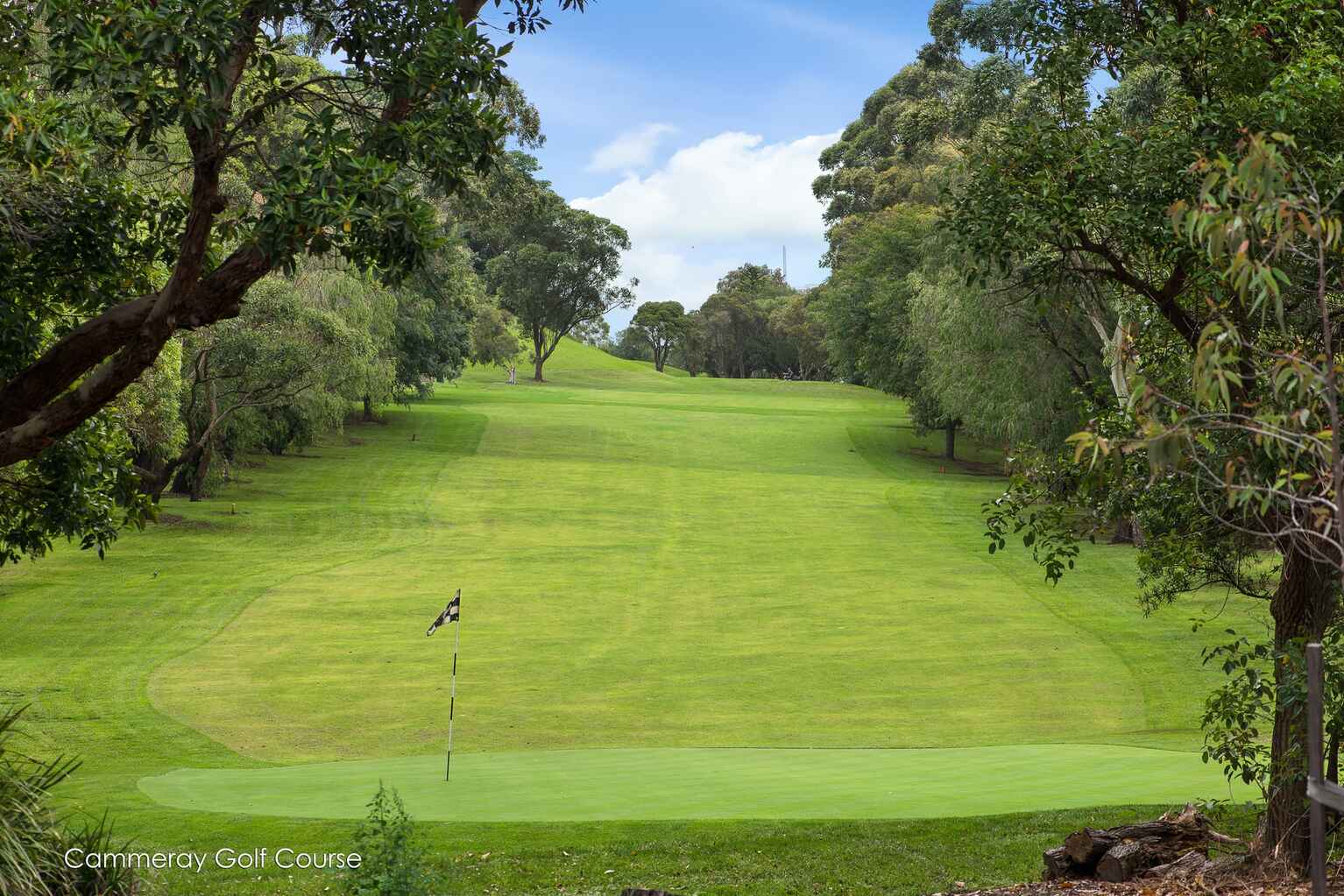 1/370 Miller Street Cammeray 1/370 Miller Street Cammeray