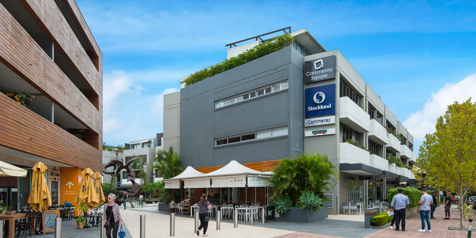 1/370 Miller Street Cammeray