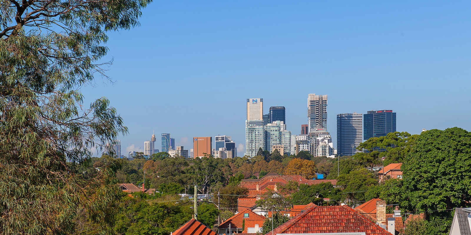 69-71 Palmer Street Cammeray 69-71 Palmer Street Cammeray