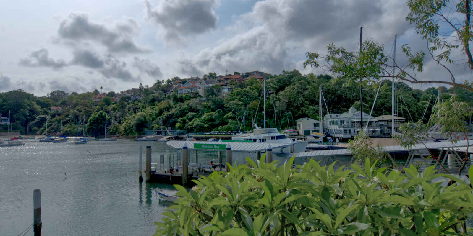 3/1E Avenue Road Mosman 3/1E Avenue Road Mosman