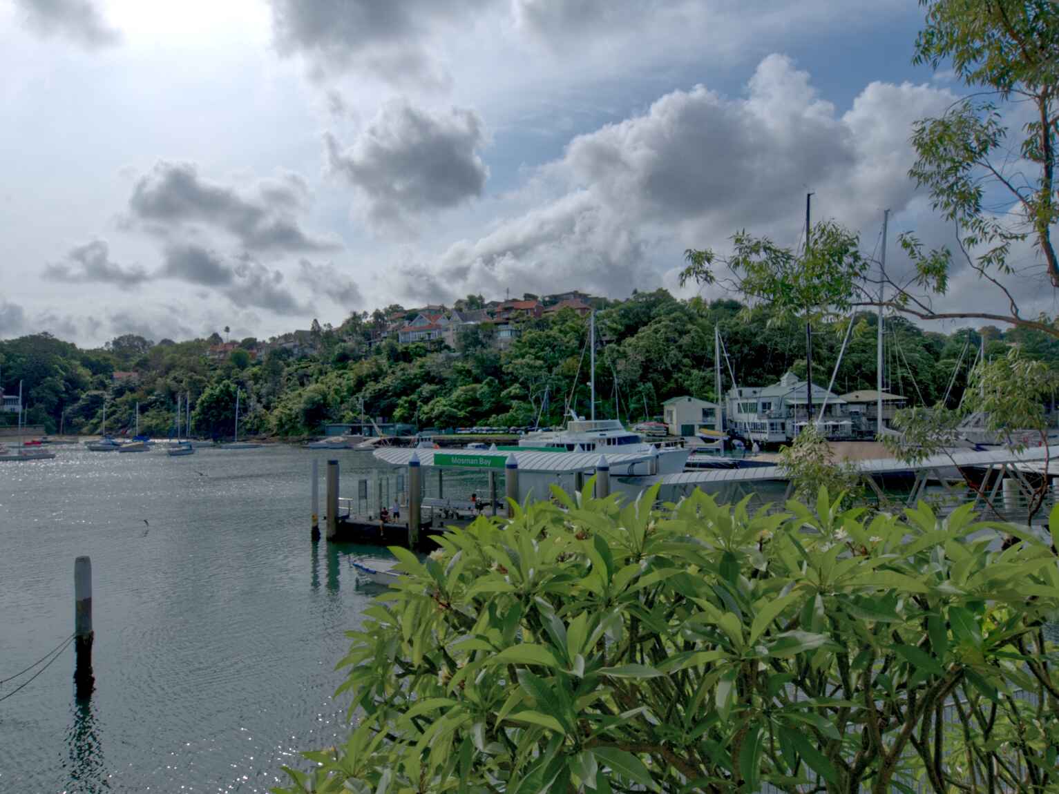 3/1E Avenue Road Mosman