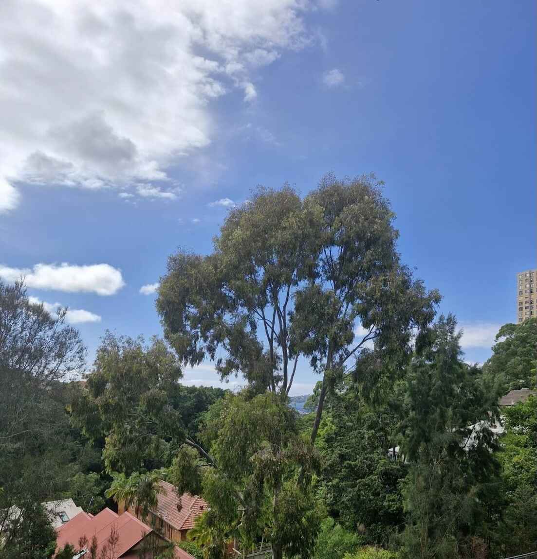 302/22 Doris Street North Sydney